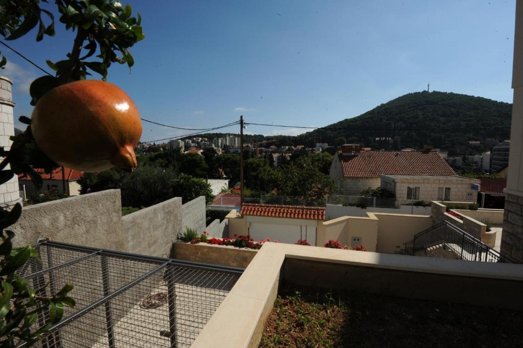Anka * Dubrovník